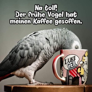 e7e7f5a4-eead-47d9-8cd7-473a8a79a317.jpg