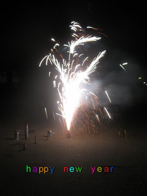 happy new year.jpg